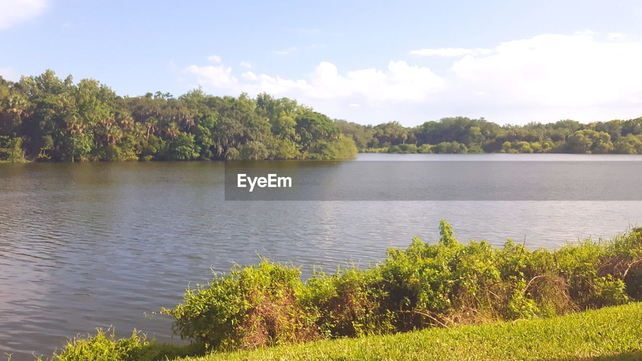 SCENIC VIEW OF LAKE AMIDST TREES AGAINST SKY