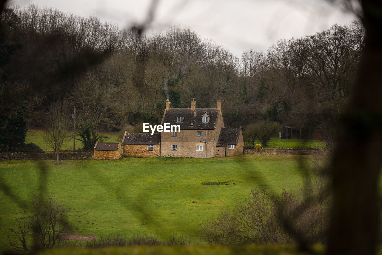 SCENIC VIEW OF TREES AND HOUSES ON FIELD