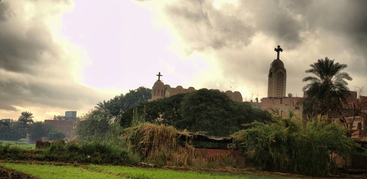 VIEW OF BUILDING WITH TREES IN BACKGROUND