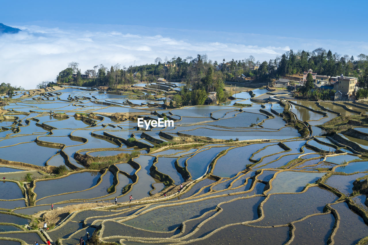 Yuanyang rice terrace, yunnan, china