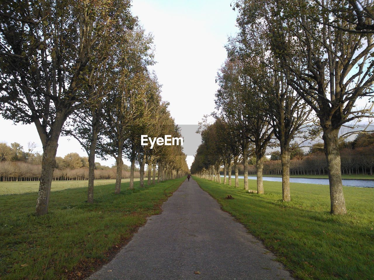 ROAD AMIDST TREES AGAINST SKY