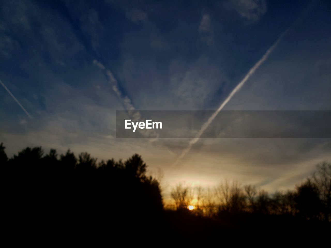 LOW ANGLE VIEW OF SILHOUETTE TREES AGAINST SUNSET SKY