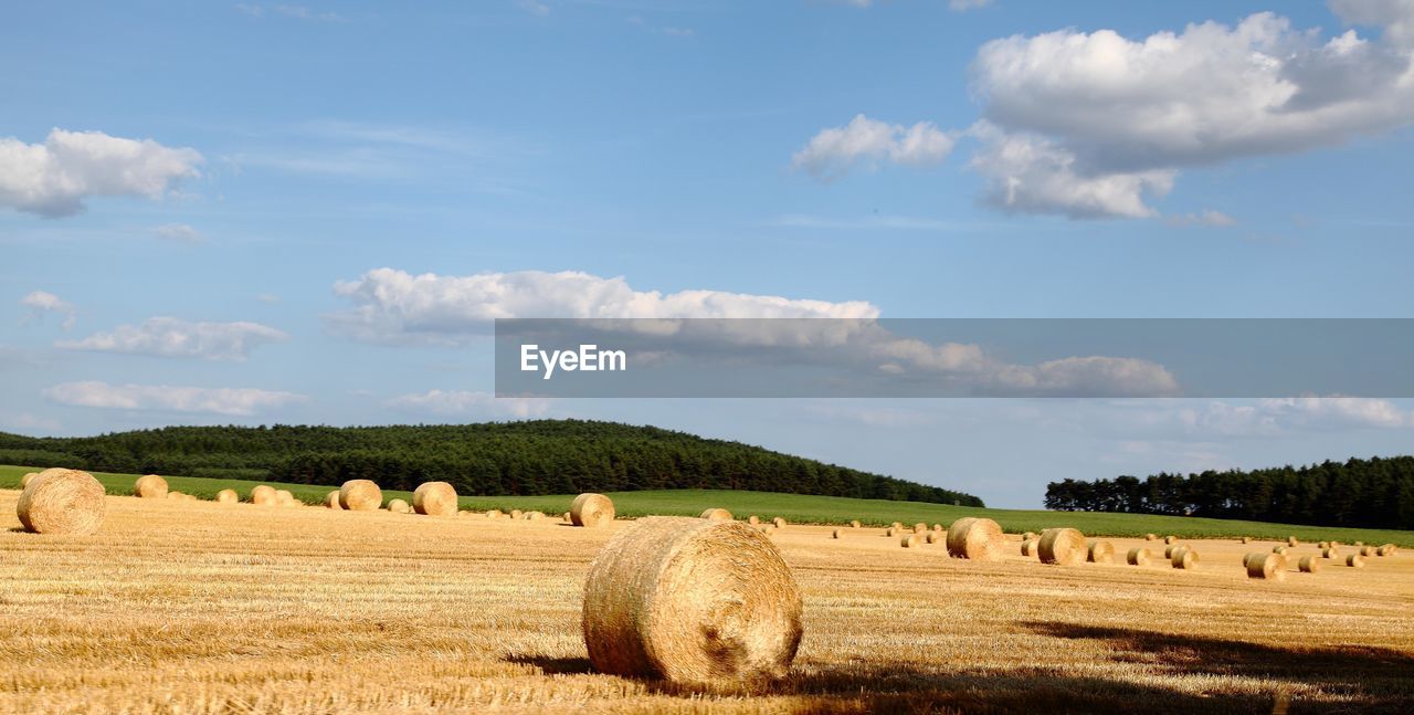 Hay bales on farm against sky 