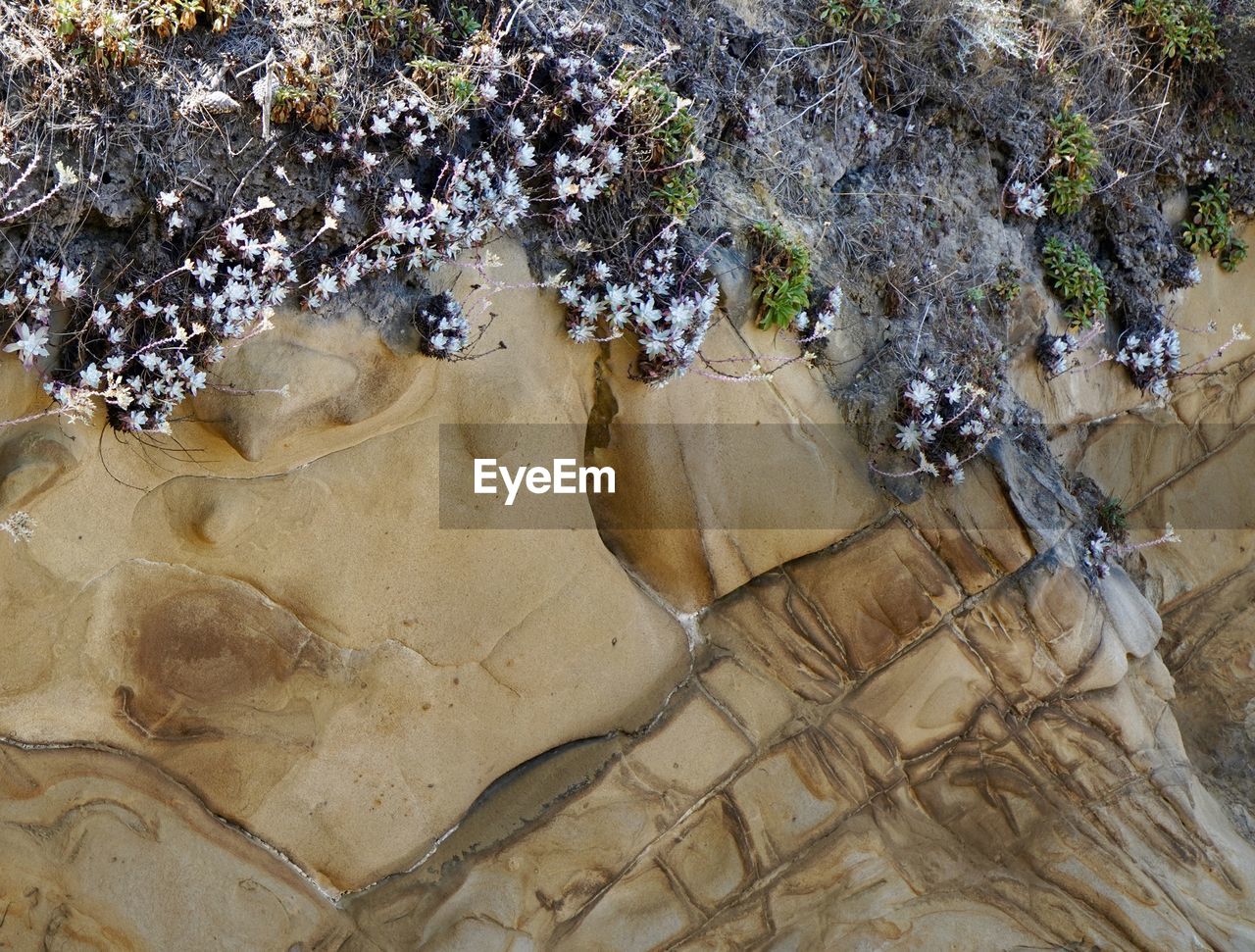 HIGH ANGLE VIEW OF ROCK ON BEACH