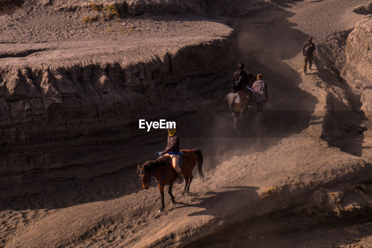 PEOPLE RIDING HORSE ON LAND