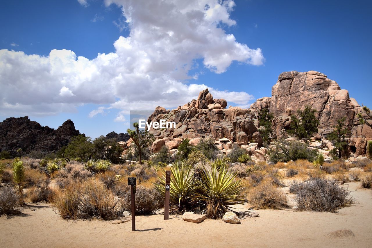 PANORAMIC VIEW OF DESERT AGAINST MOUNTAIN