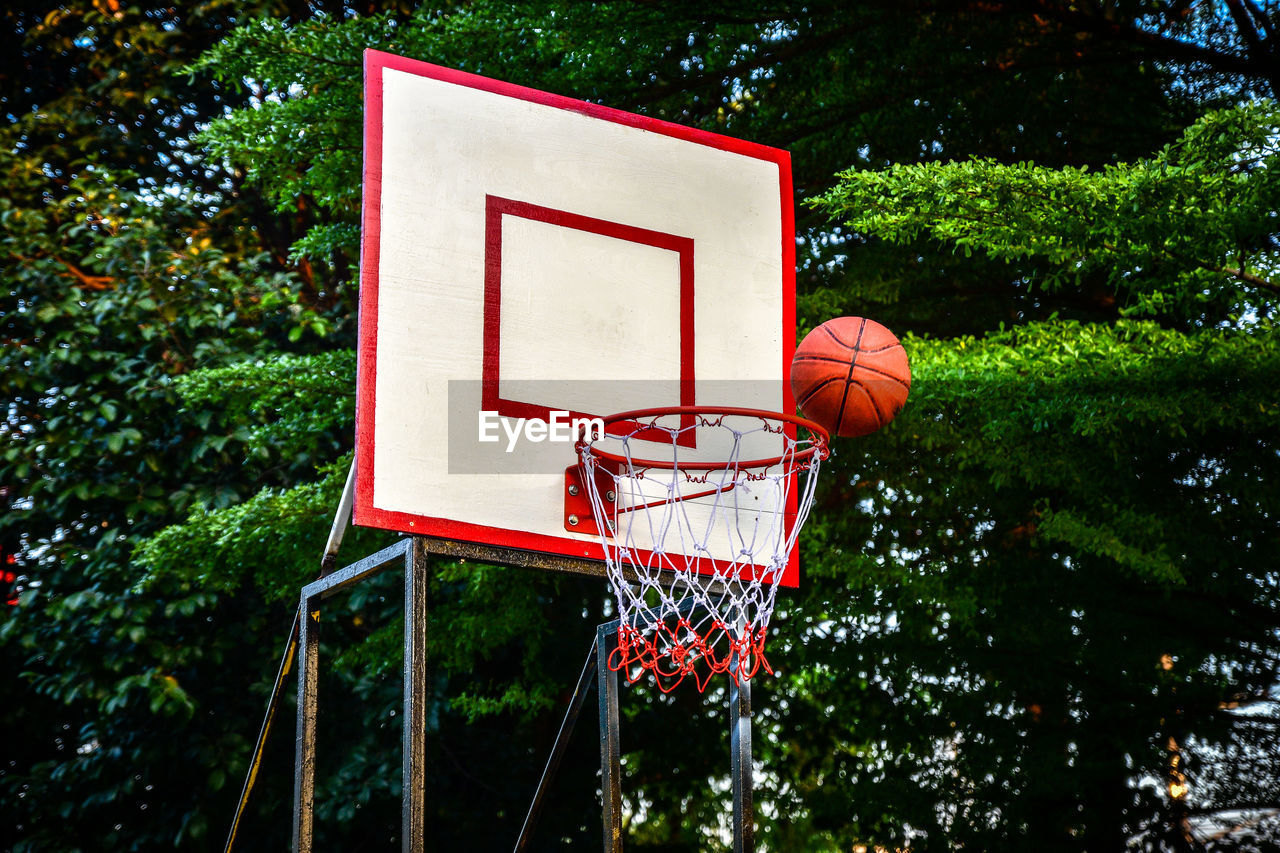 Low angle view of basketball hoop against tree