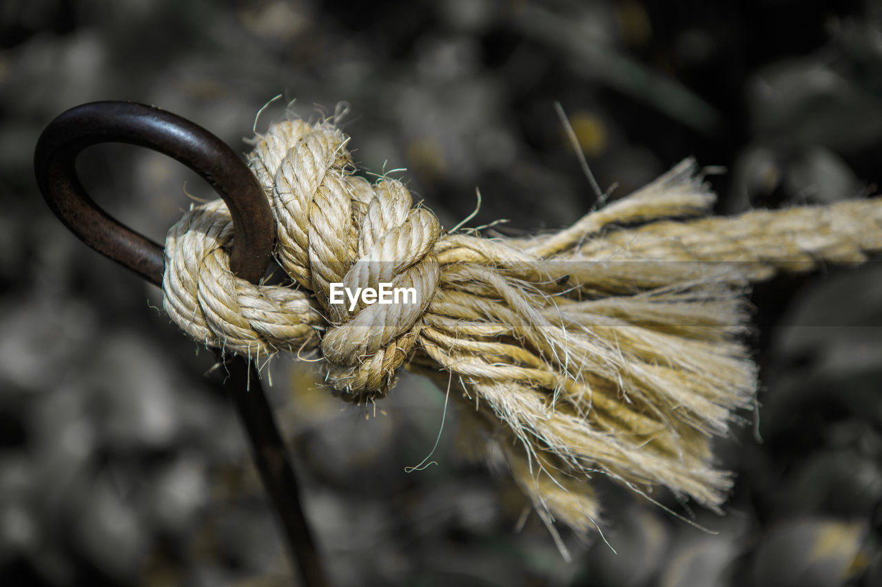 CLOSE-UP OF ROPE TIED UP ON WOOD