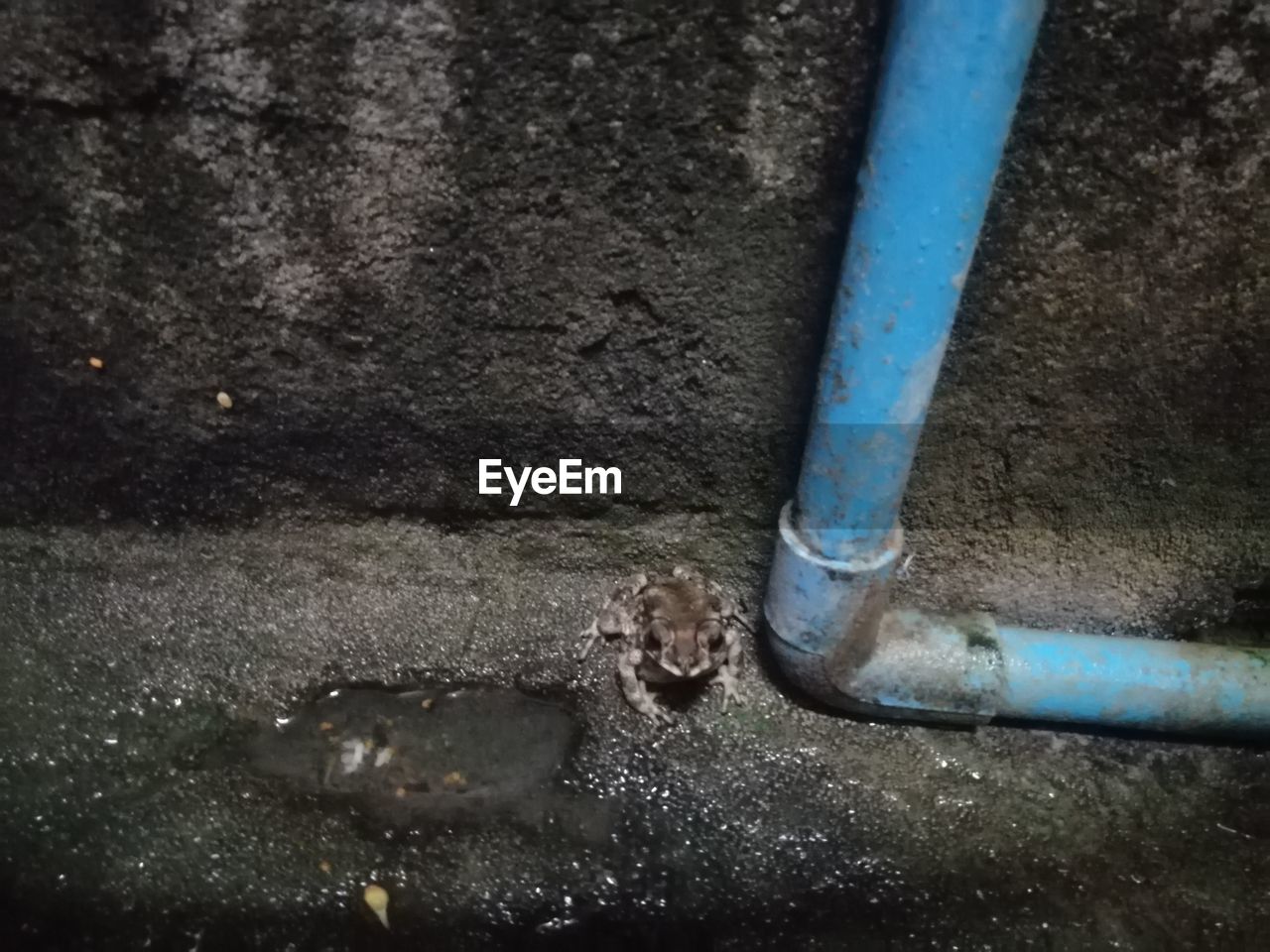 HIGH ANGLE VIEW OF WET METAL ON STREET