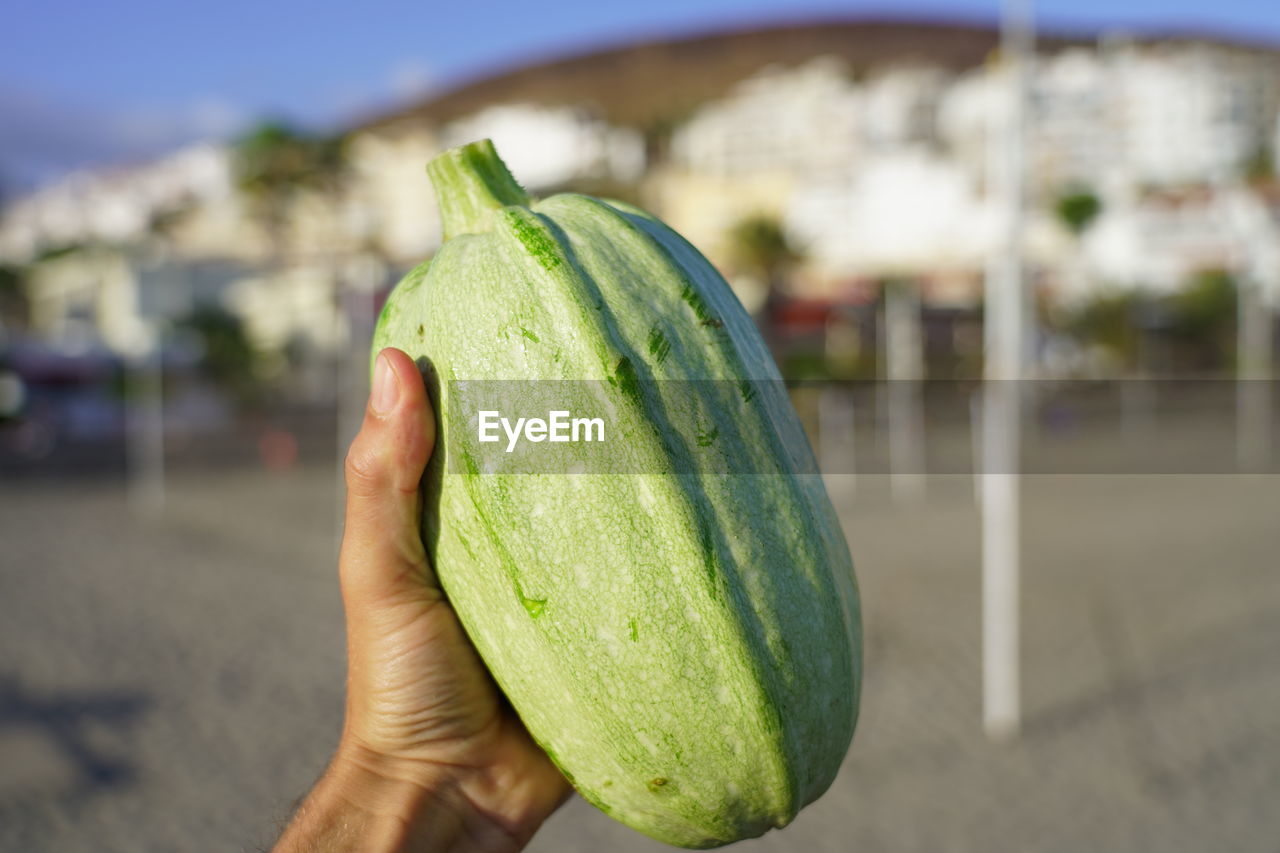 CROPPED IMAGE OF PERSON HOLDING APPLE