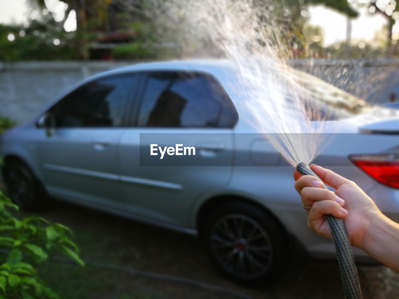 Cropped hand spraying water on car