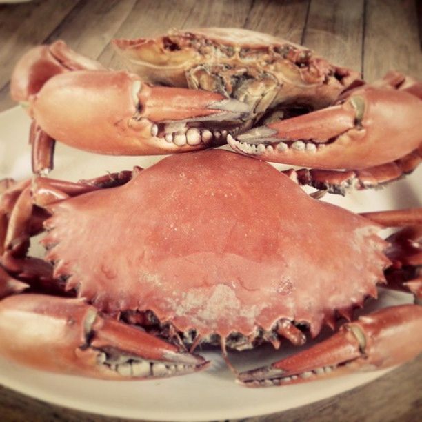 CLOSE-UP OF PREPARING FOOD ON TABLE