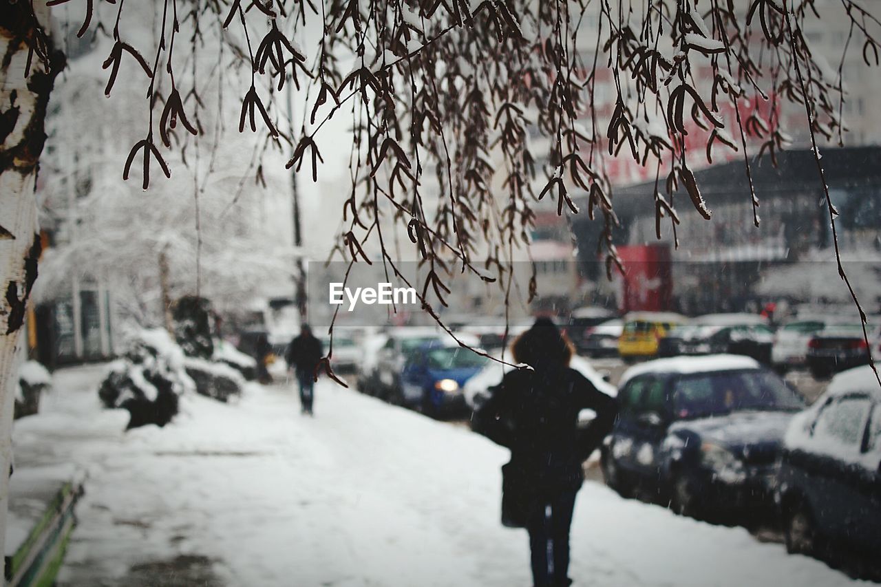 SNOW COVERED WOMAN IN WINTER