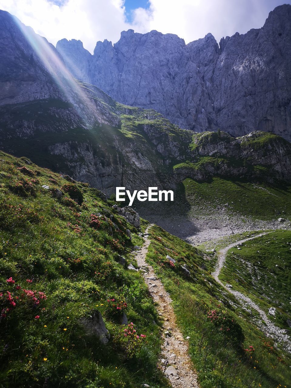 SCENIC VIEW OF WATERFALL