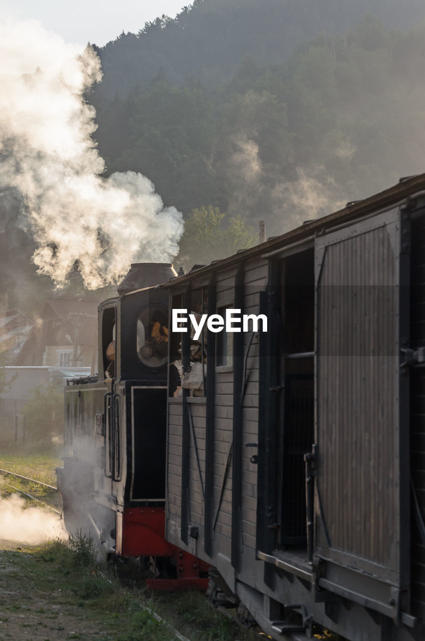 Steam train against trees growing on mountain