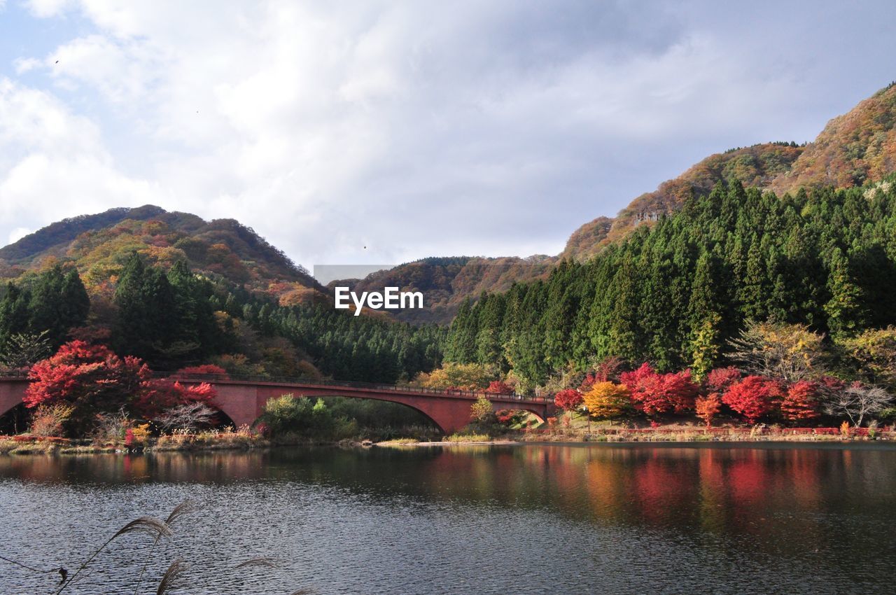 Scenic view of lake by trees against sky