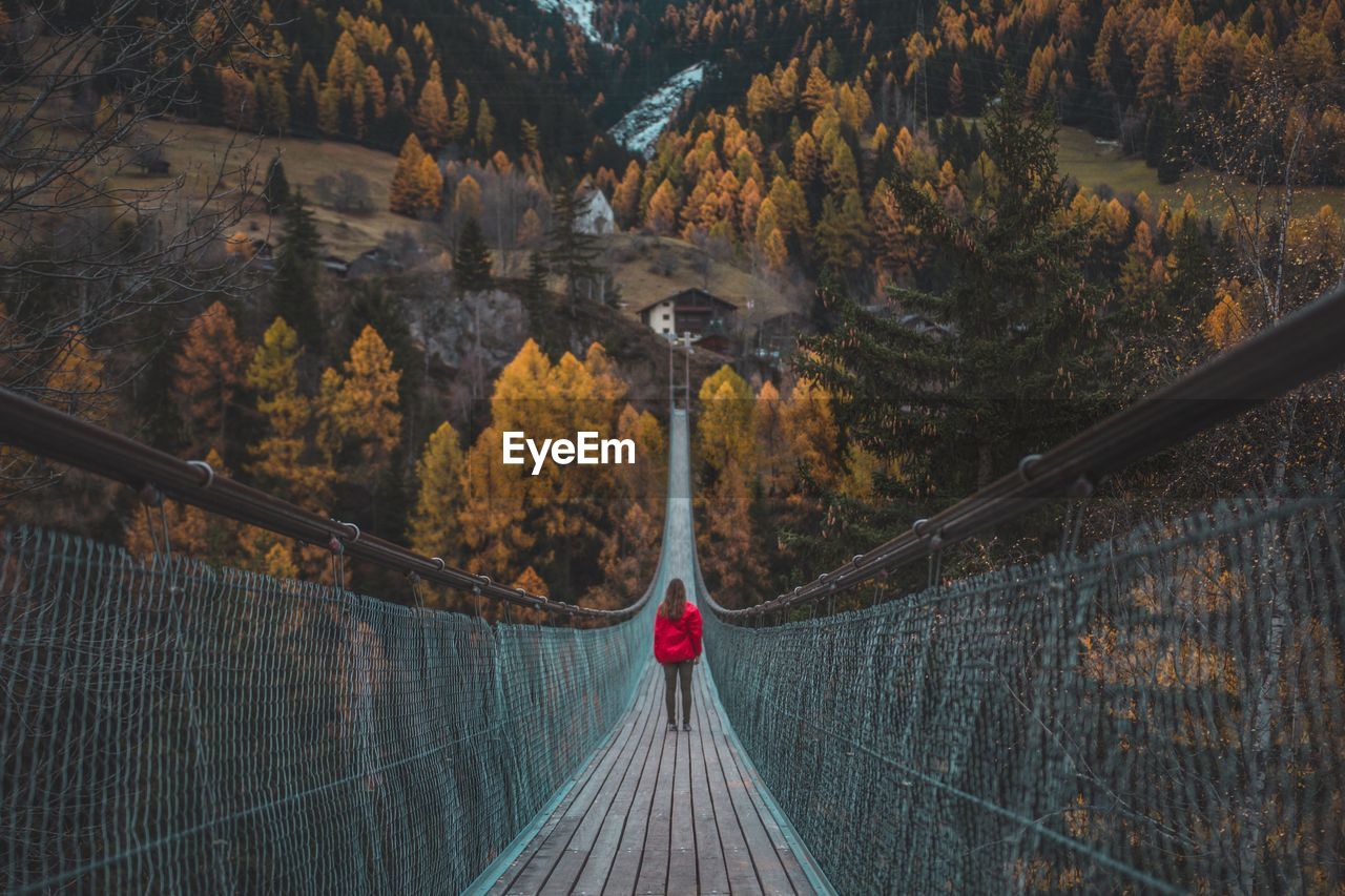 Woman standing on footbridge in forest