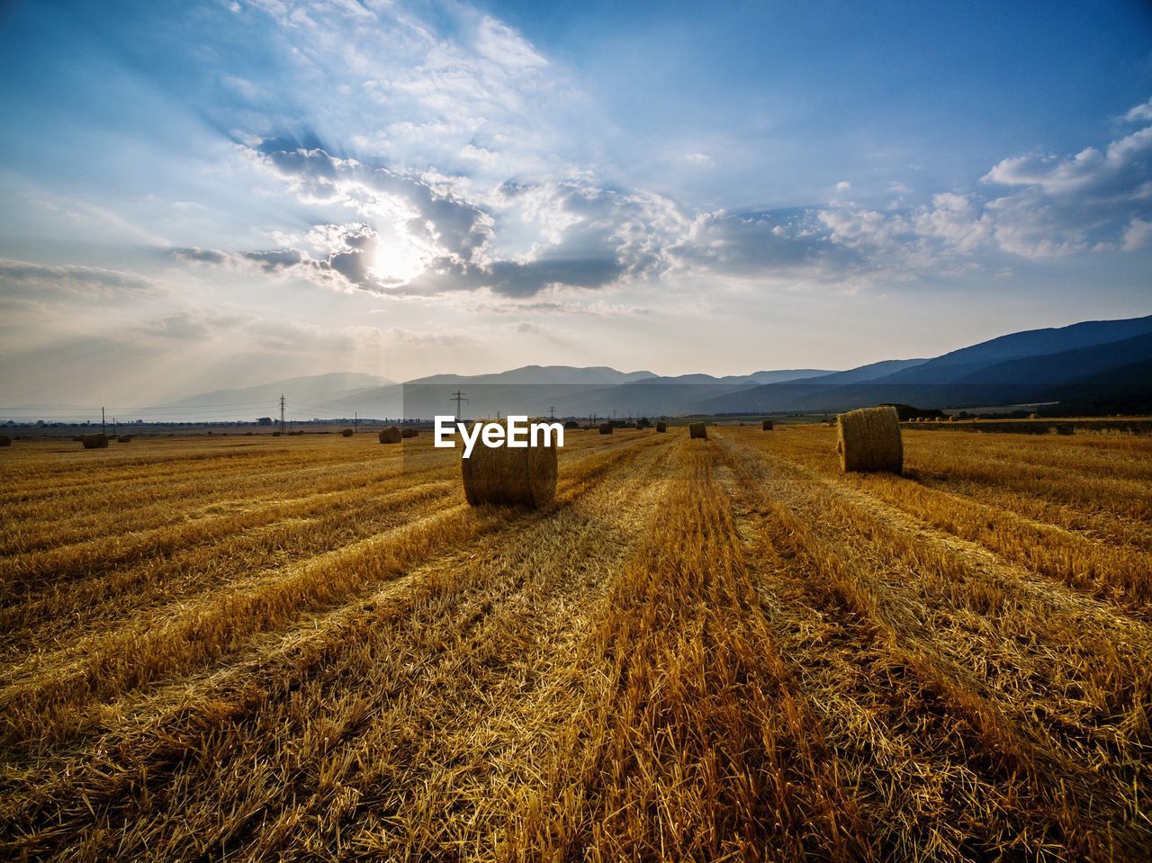 Hay bales on field against sky