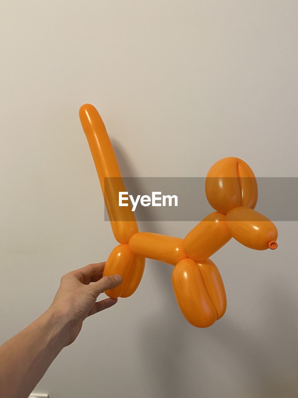 hand, yellow, toy, indoors, holding, studio shot, one person, orange, adult, balloon, representation