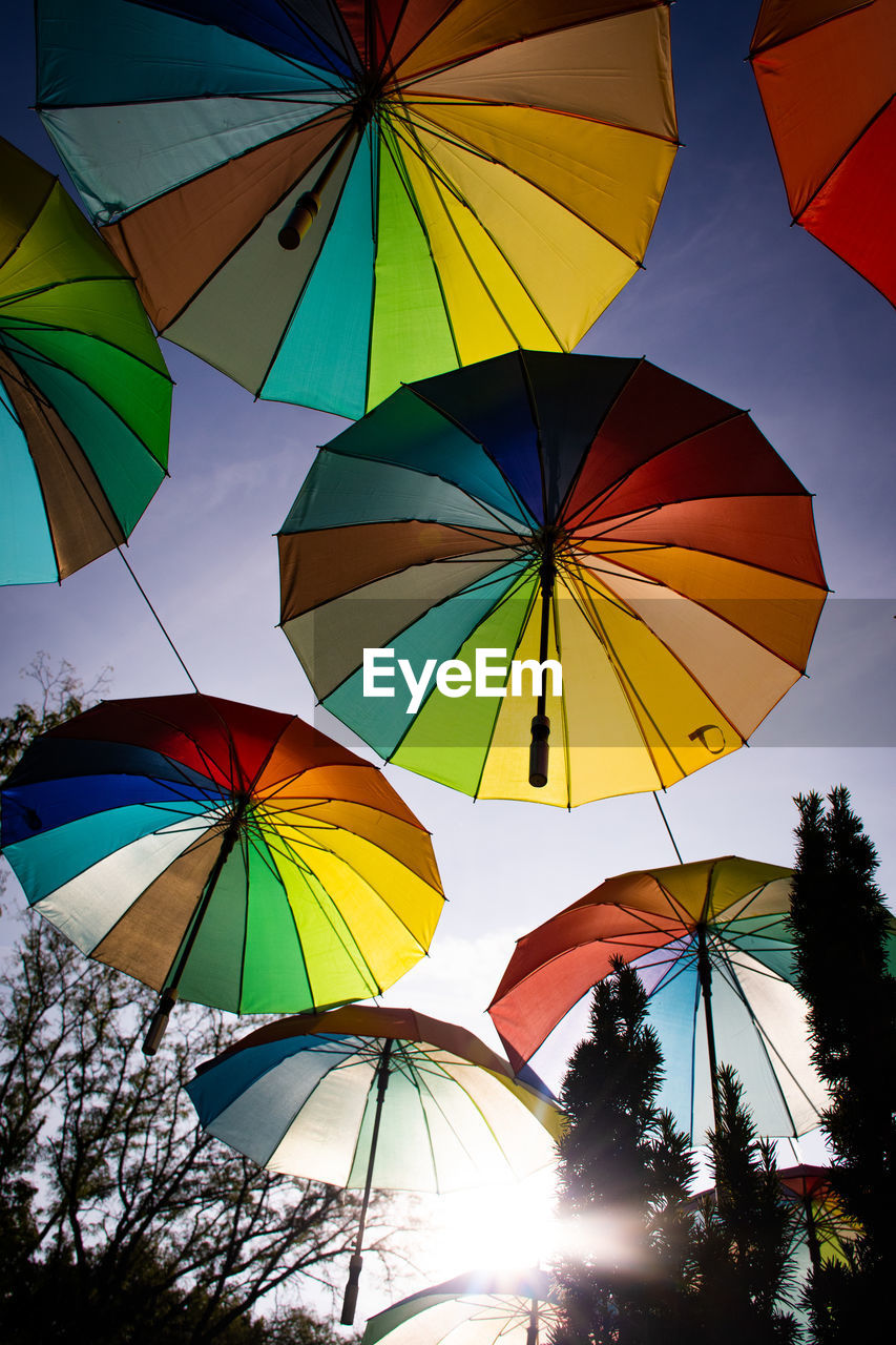 LOW ANGLE VIEW OF UMBRELLAS AGAINST TREES