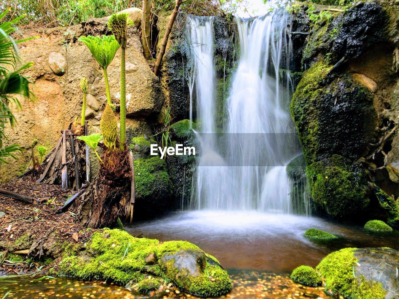 Scenic view of waterfall in forest