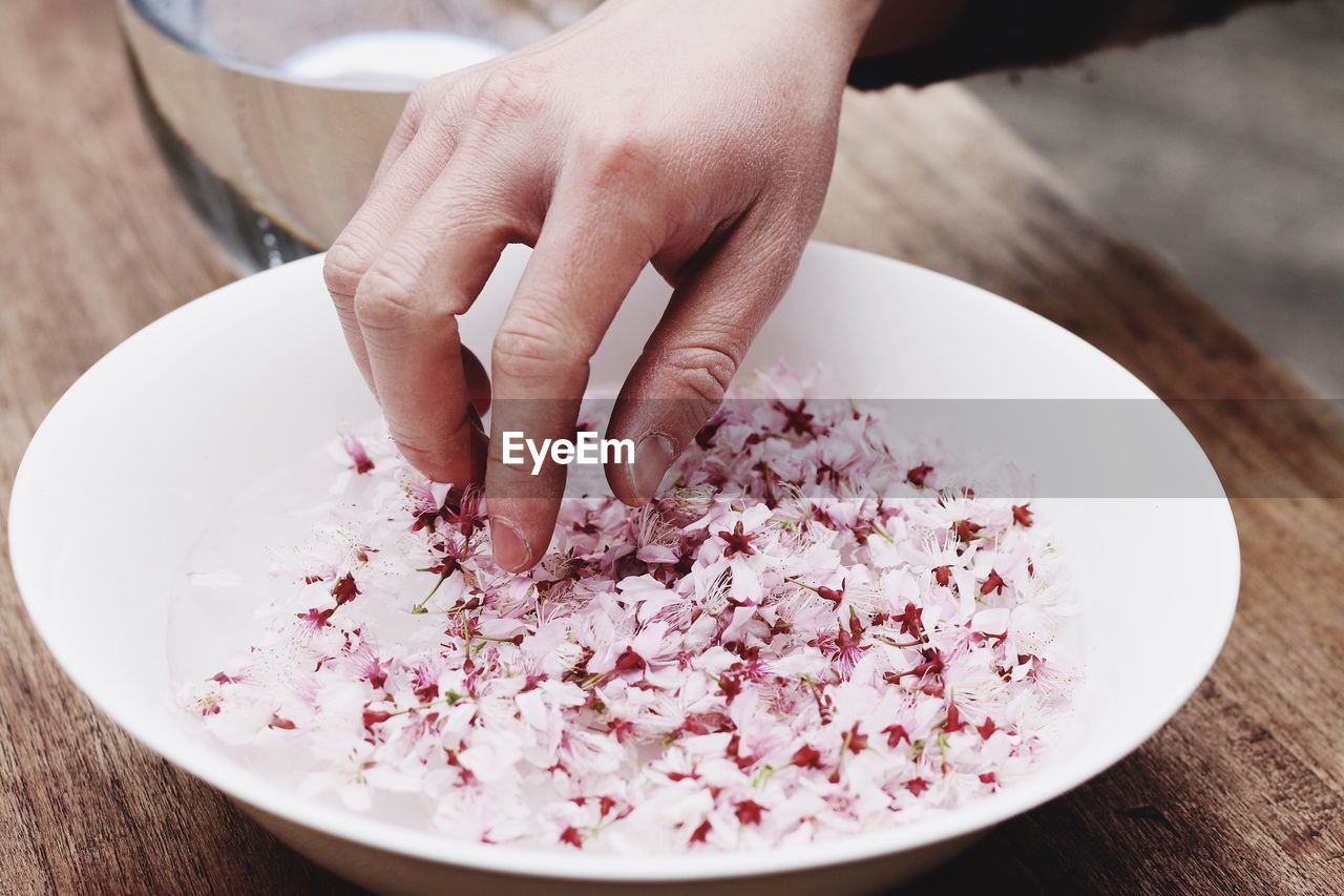 Close-up of hands touching flower petals