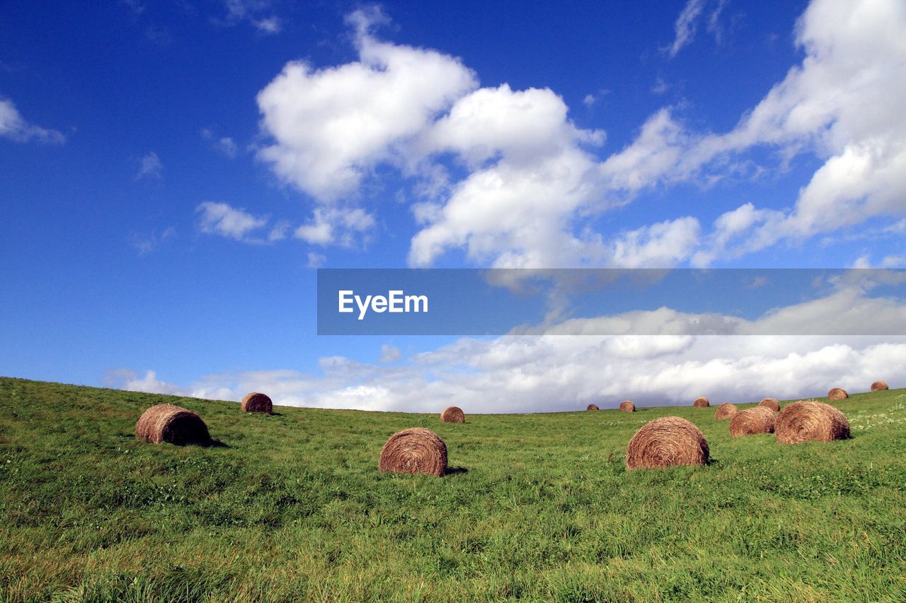 HAY BALES ON AGRICULTURAL FIELD AGAINST SKY
