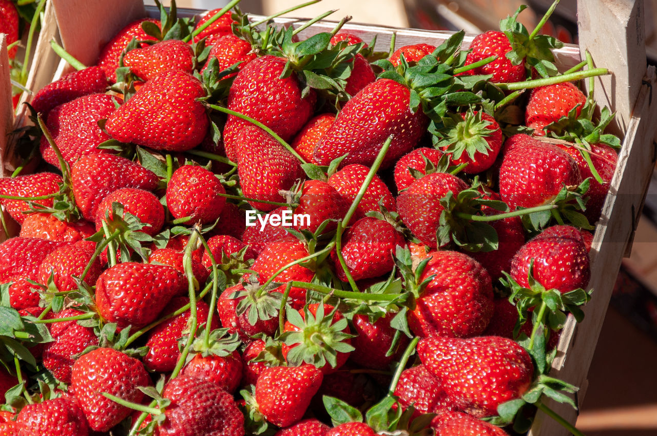 CLOSE-UP OF FRESH STRAWBERRIES IN MARKET