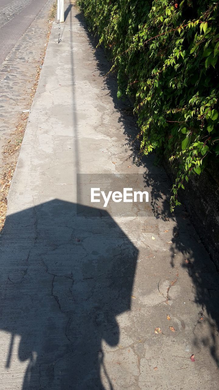 HIGH ANGLE VIEW OF FOOTPATH BY STREET