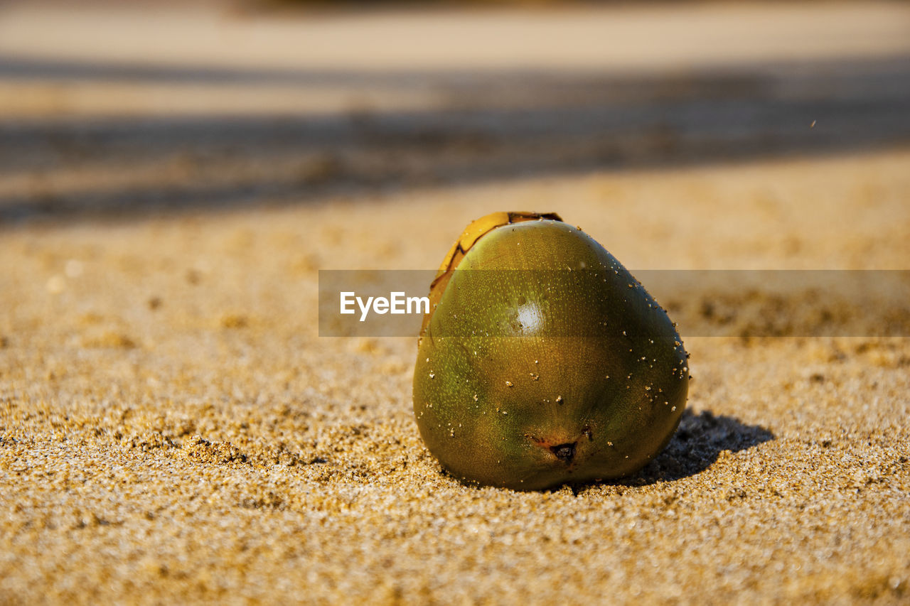 CLOSE-UP OF STRAWBERRY ON SAND