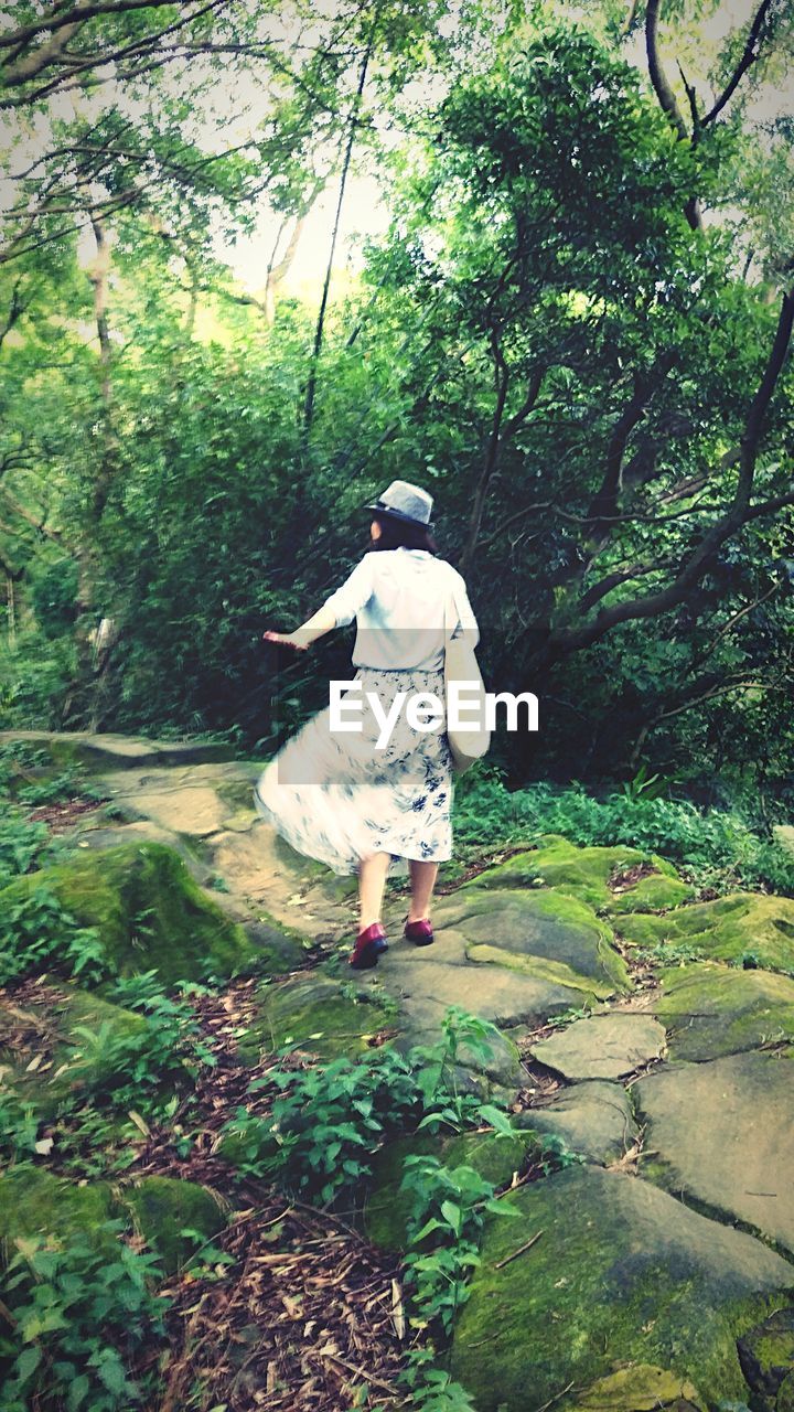 Rear view of man walking by tree