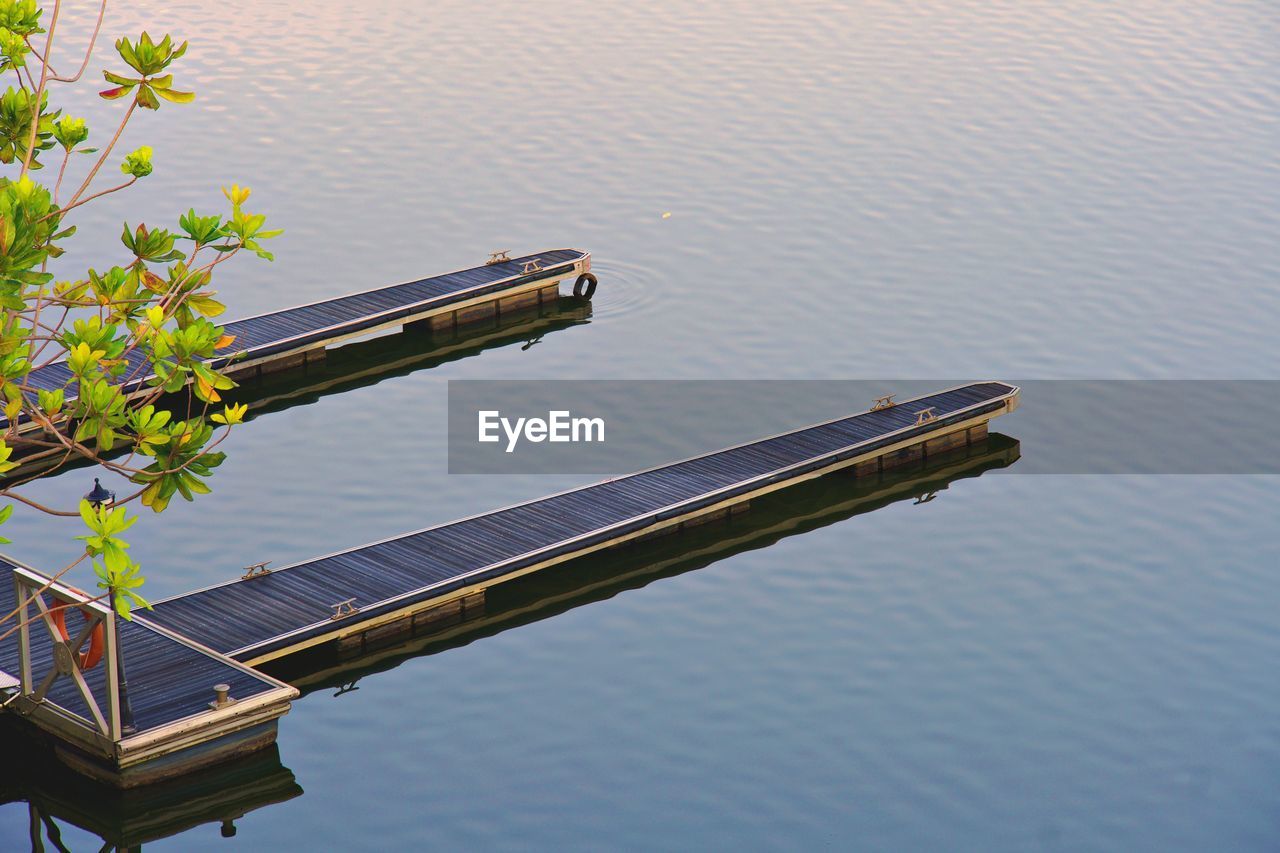 HIGH ANGLE VIEW OF PLANTS WITH REFLECTION IN LAKE