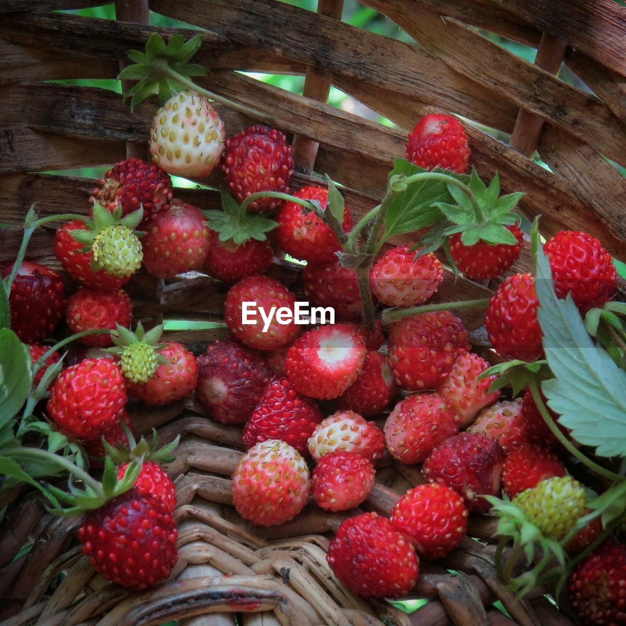 High angle view of strawberries