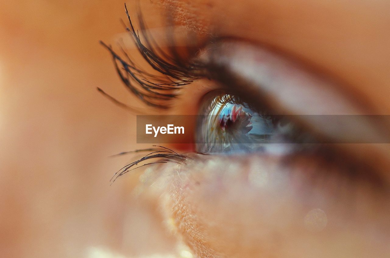 Close-up of woman eye