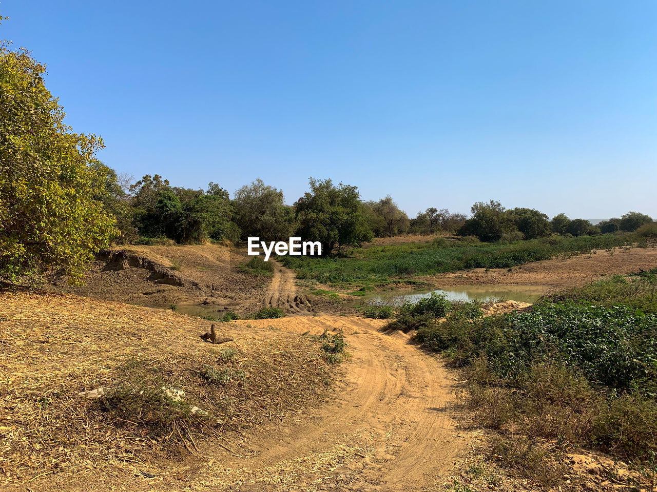 SCENIC VIEW OF LAND AGAINST CLEAR SKY