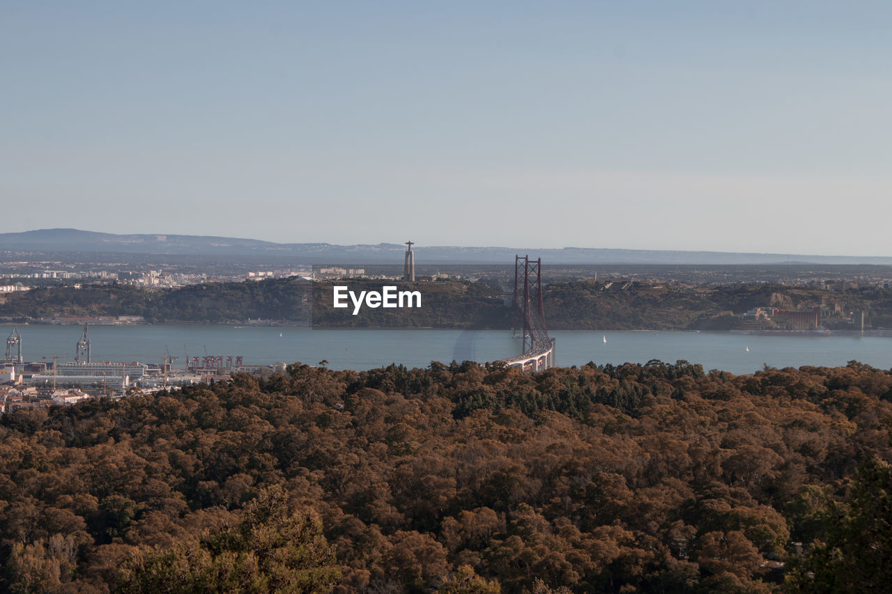 SCENIC VIEW OF RIVER BY TREE AGAINST CLEAR SKY