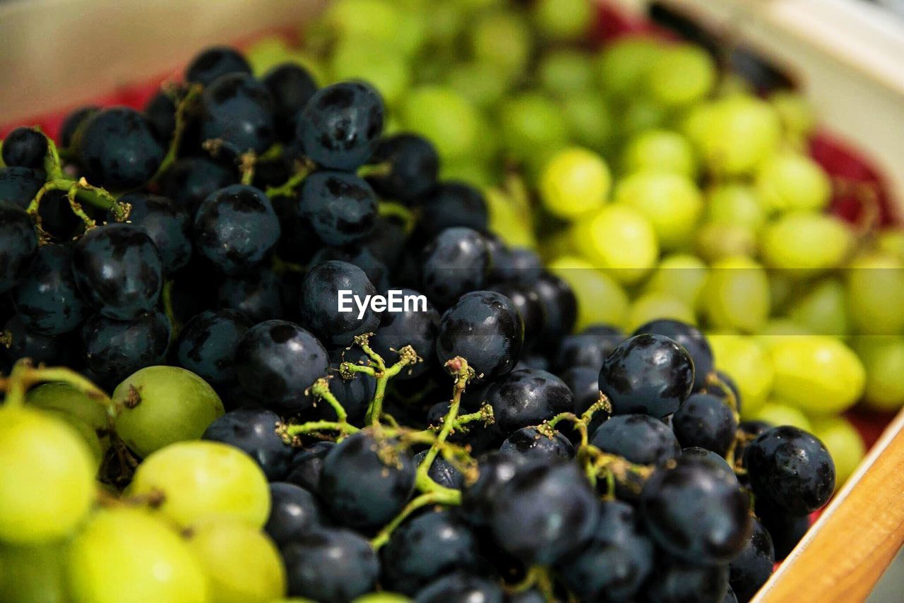 Close-up of grapes