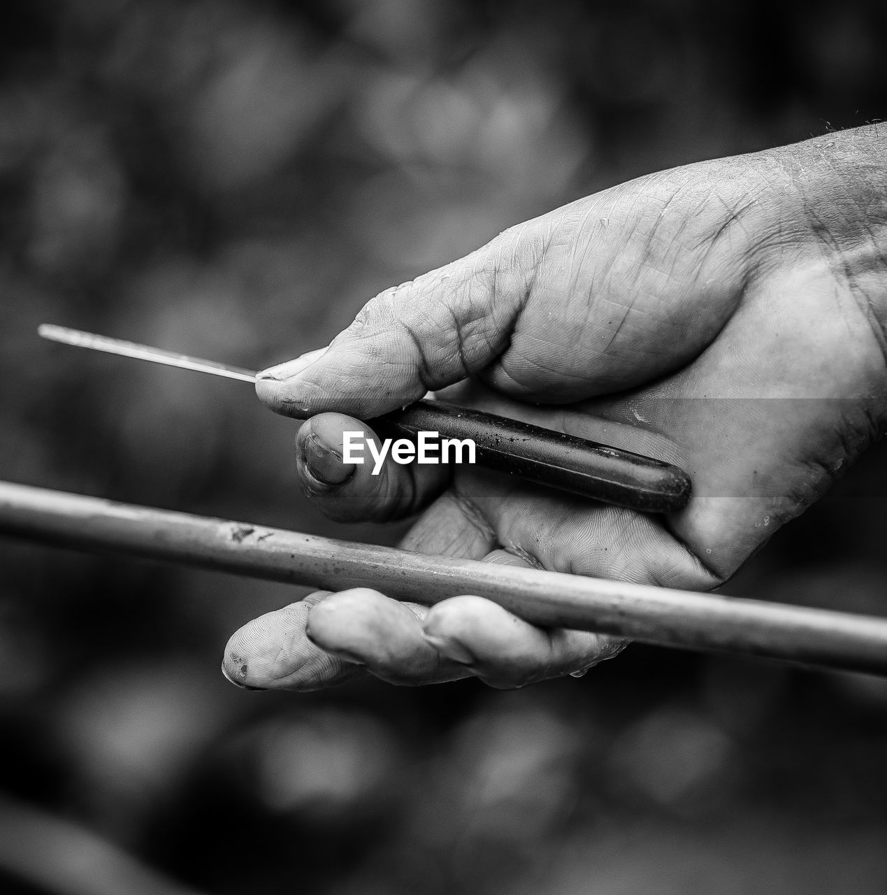 Cropped image of hand holding stick and knife