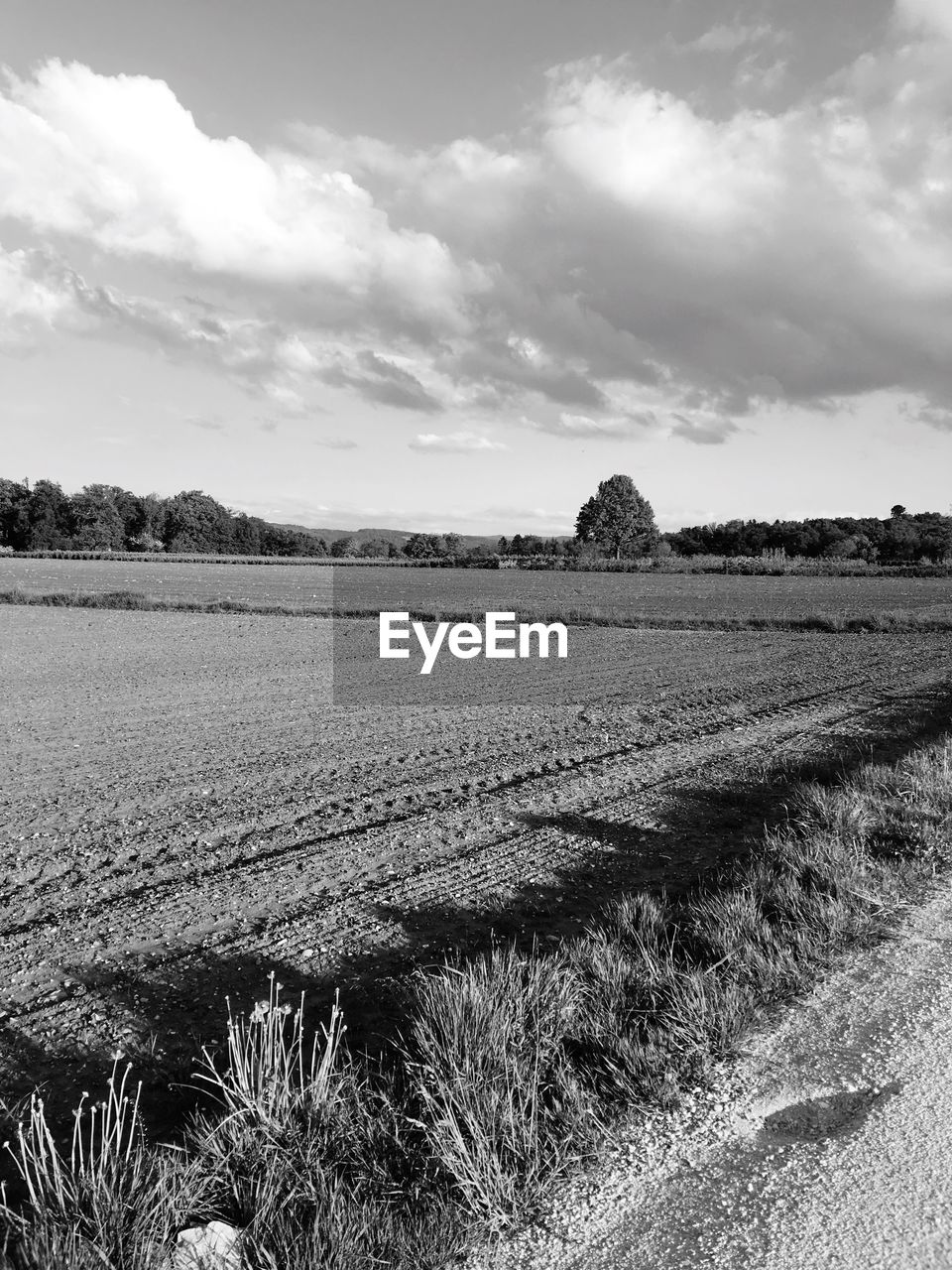 Scenic view of field against cloudy sky
