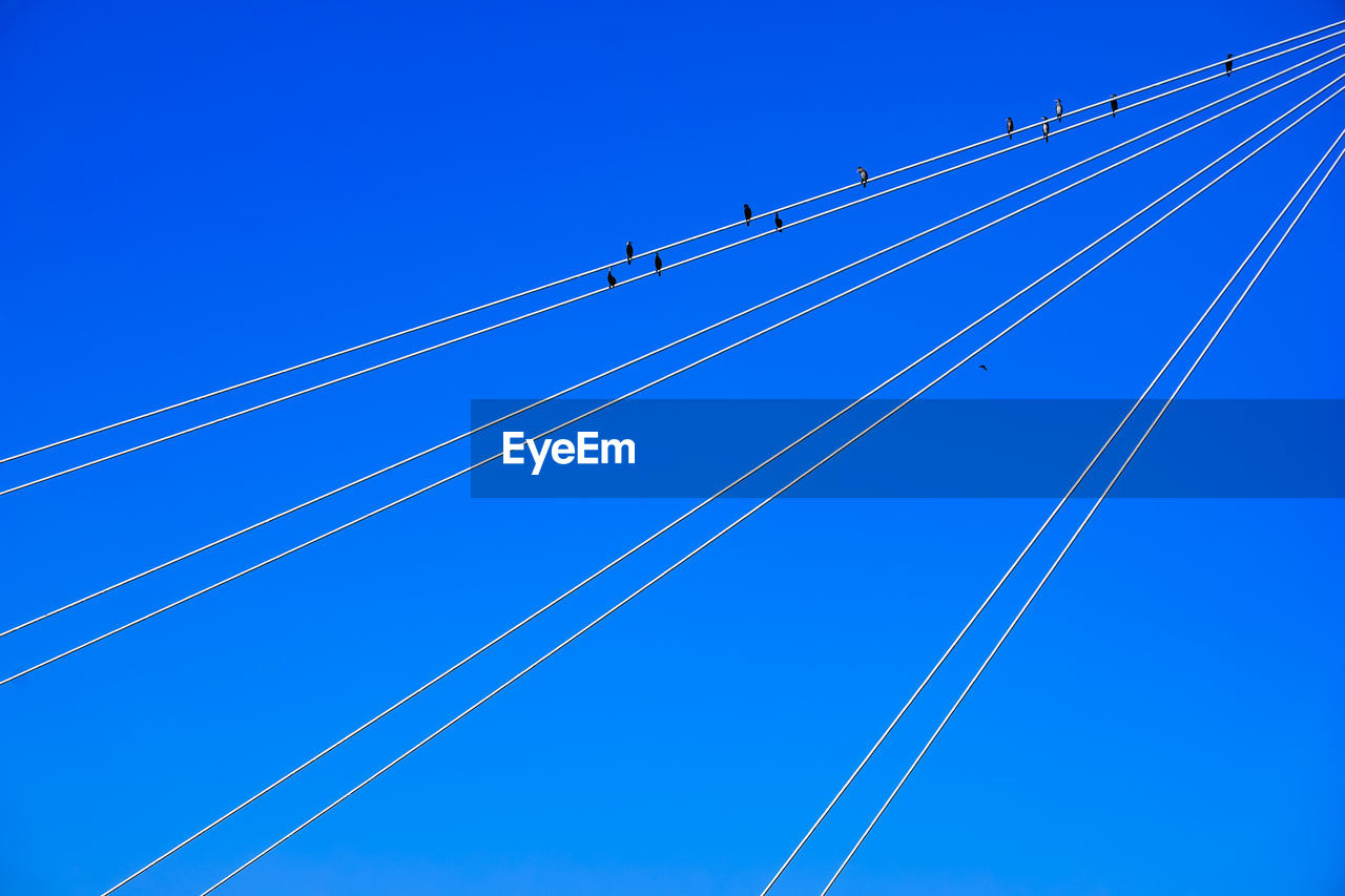 Low angle view of power lines against clear blue sky