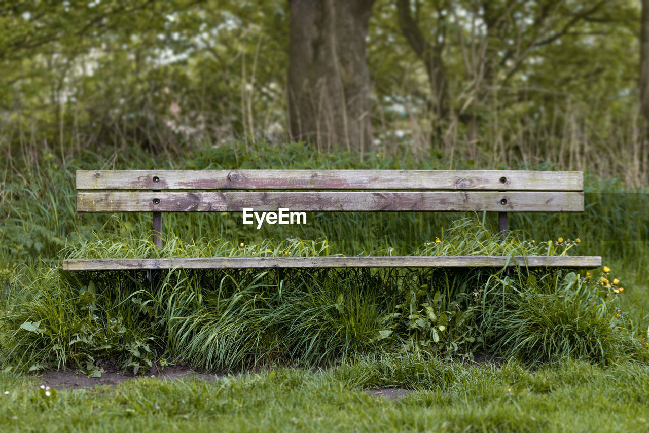 BENCH IN PARK