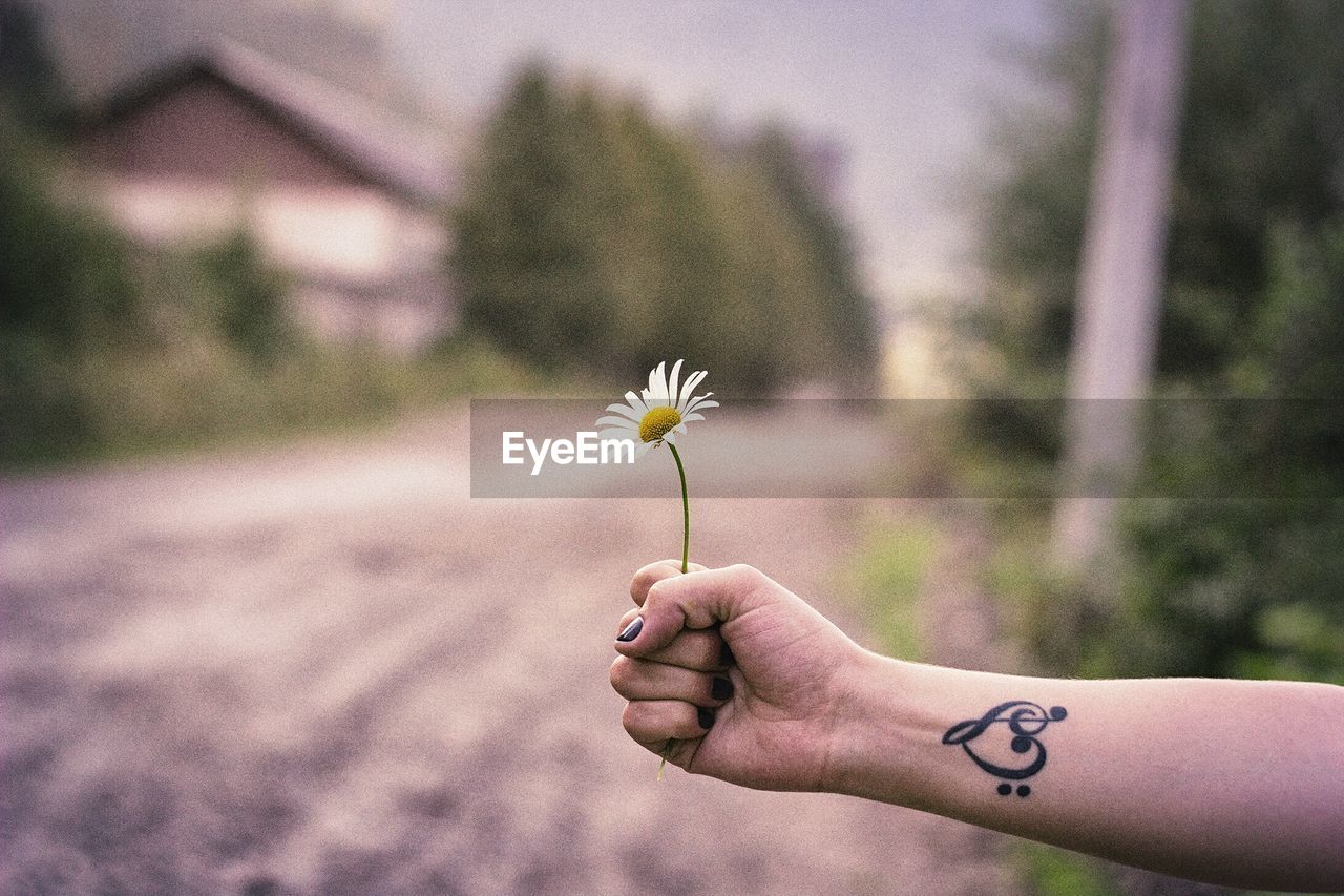 Close-up of hand holding flower