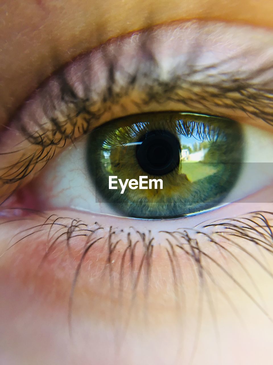 Extreme close-up of human eye