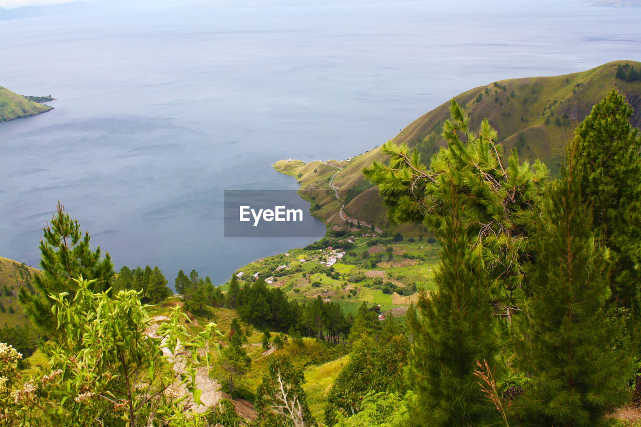 HIGH ANGLE VIEW OF SEA AND TREES AGAINST SKY