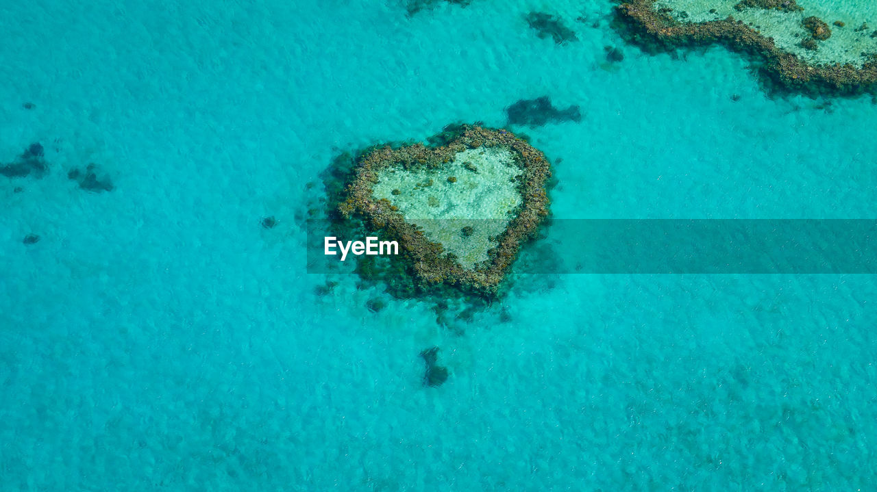 Heart reef in the great barrier reef of australia