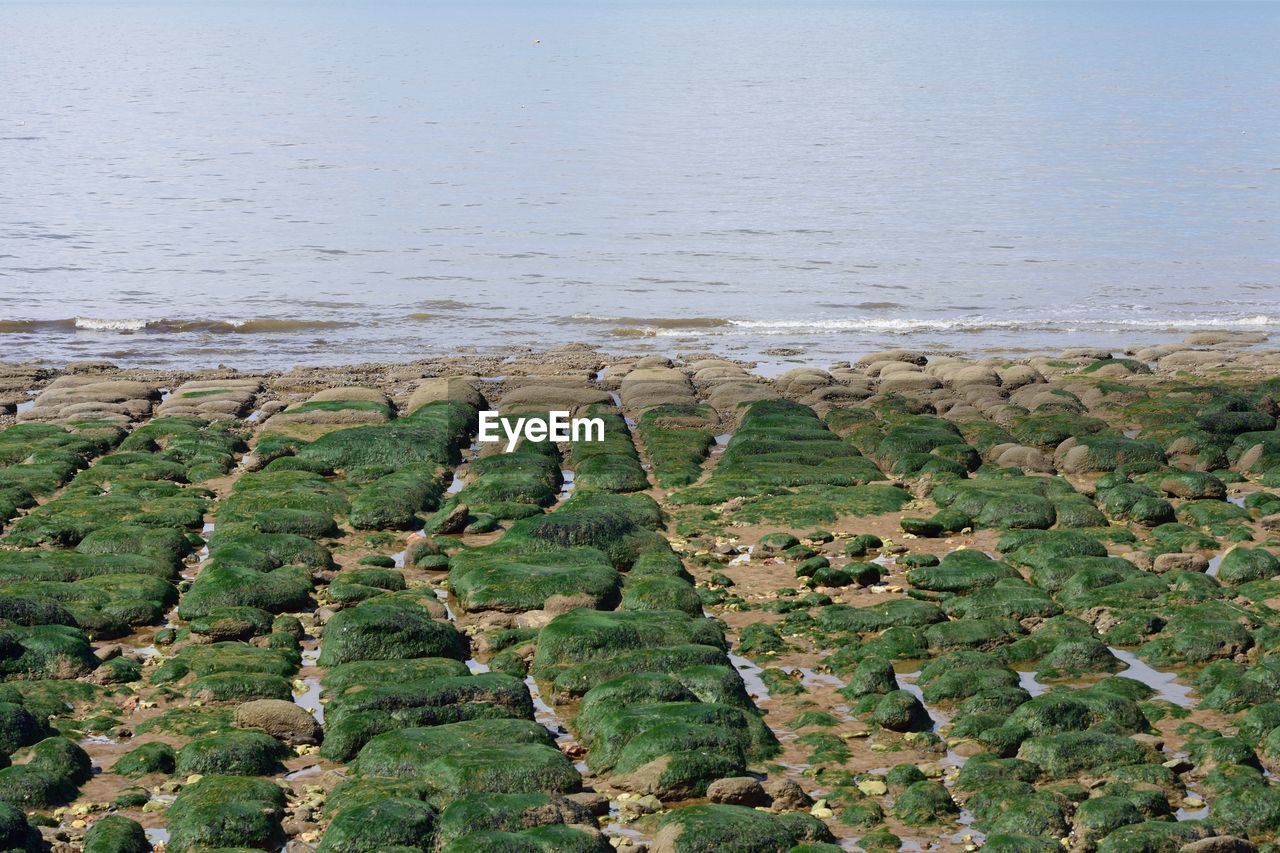 High angle view of sea shore against sky