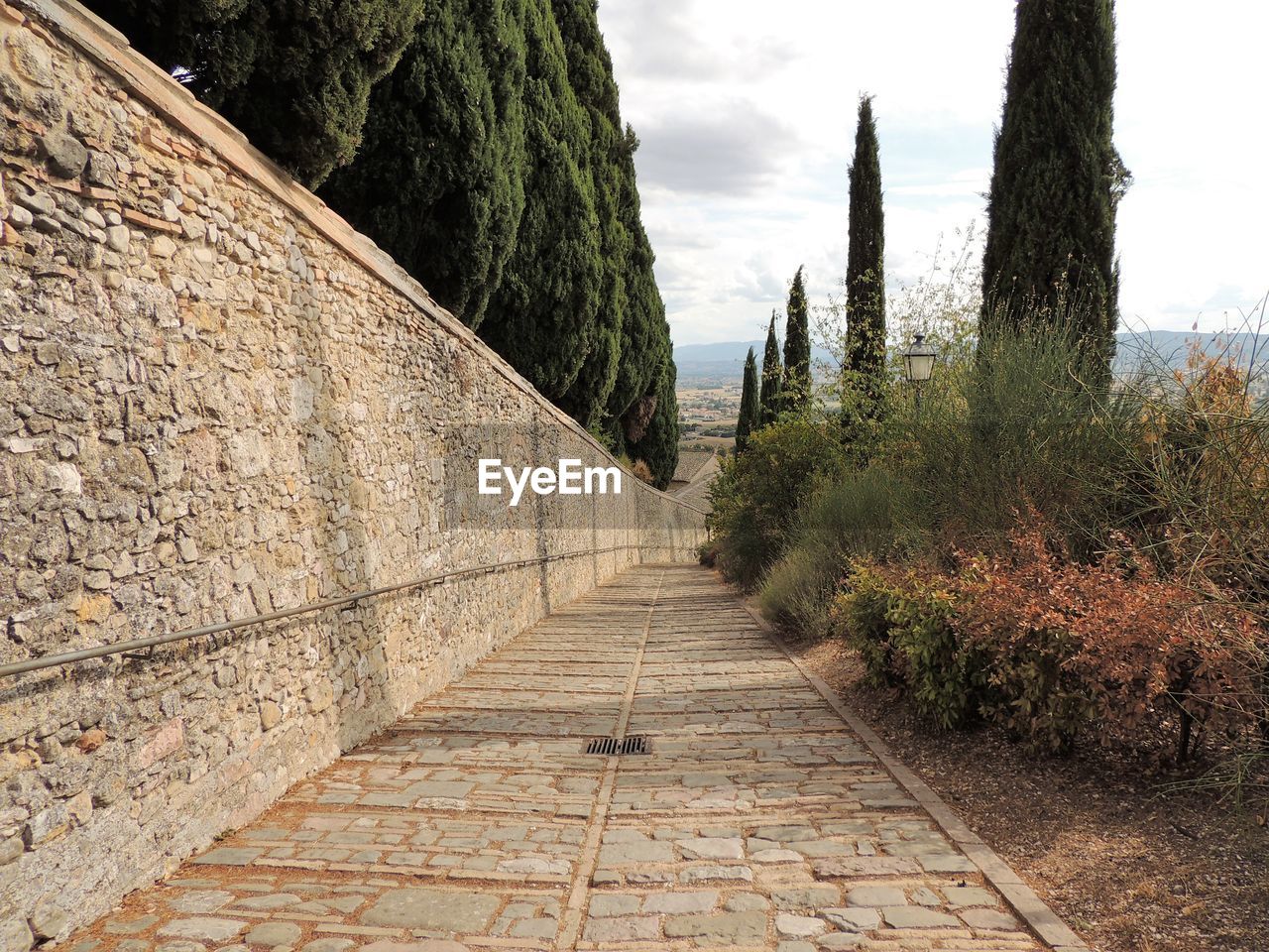 plant, architecture, tree, wall, footpath, nature, the way forward, sky, no people, built structure, walkway, day, outdoors, rock, travel destinations, cloud, history, cobblestone, diminishing perspective, the past, beauty in nature, wall - building feature, travel, tourism, growth