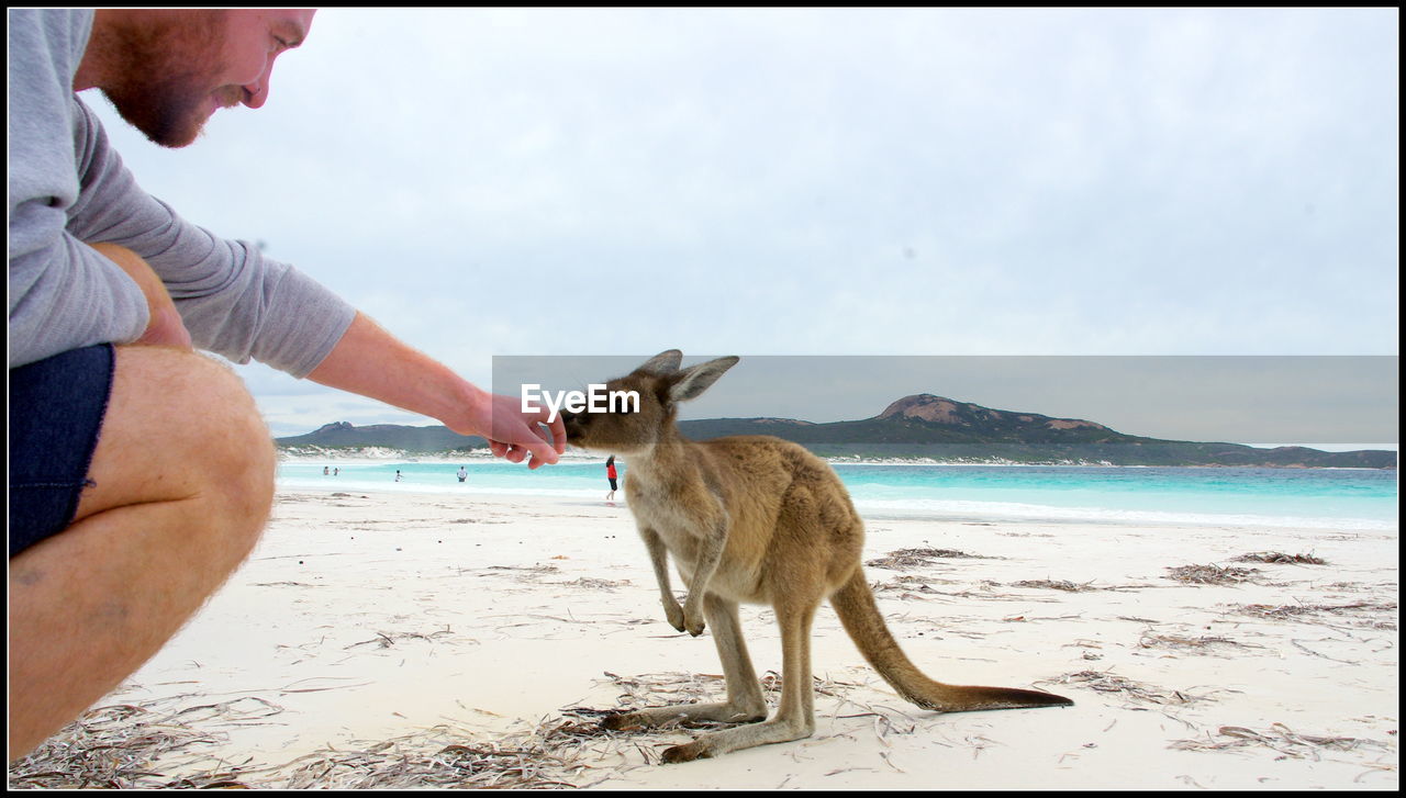 MAN WITH DOG ON BEACH