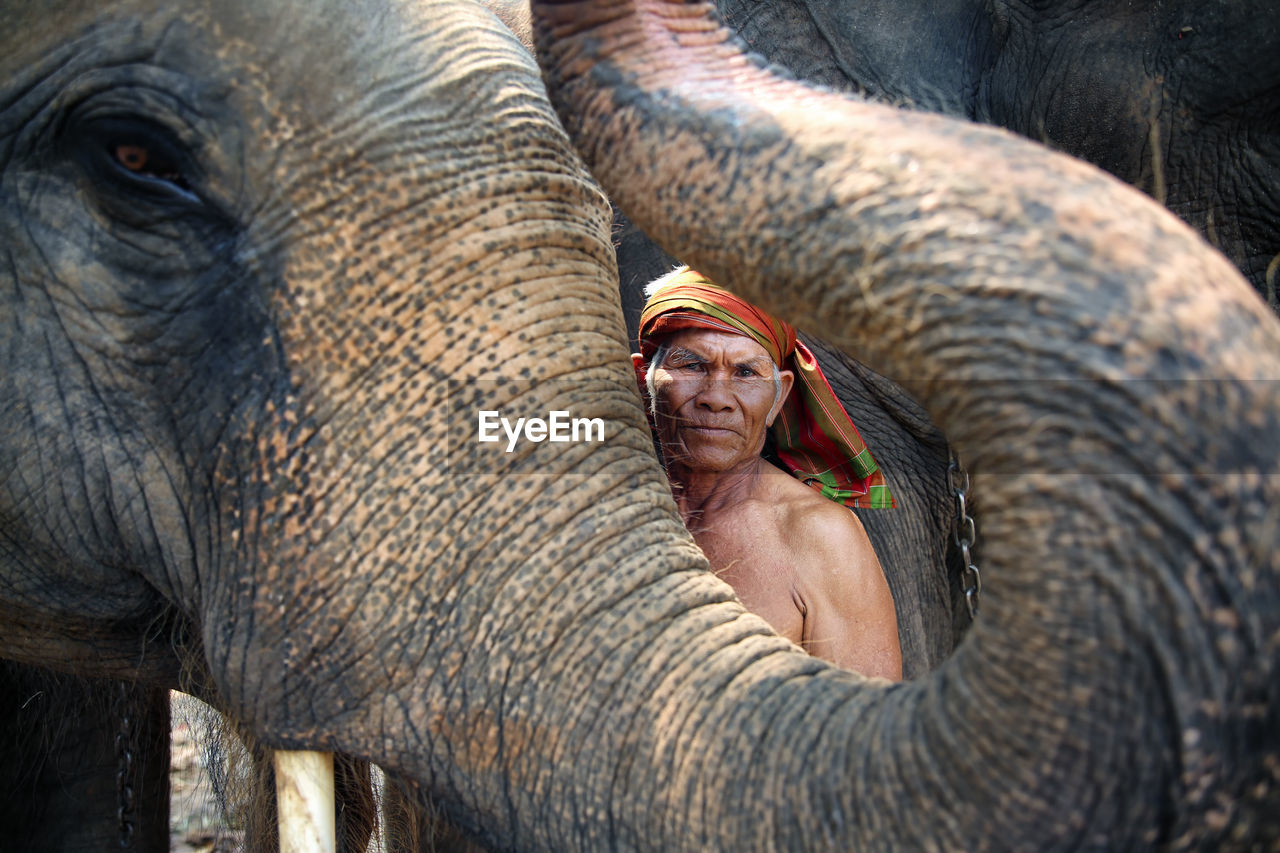 Full frame shot of elephant