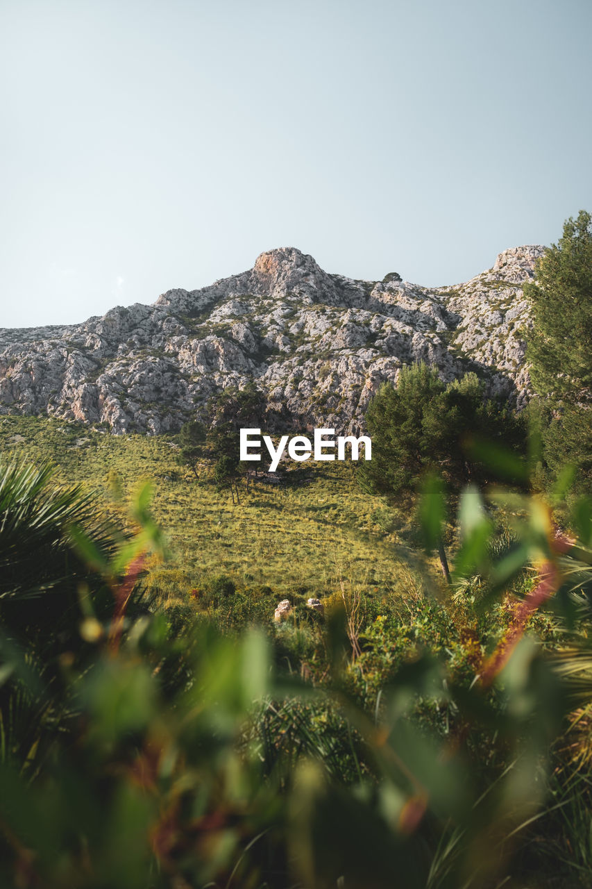 Scenic view of mountains against clear sky